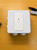 GreenConnect Smart Switch