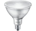 LED PAR 38 Bulb